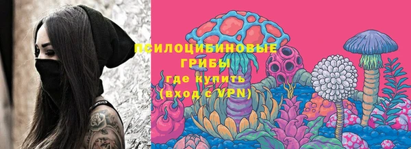 PSILOCYBIN Абаза