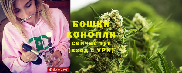PSILOCYBIN Абаза