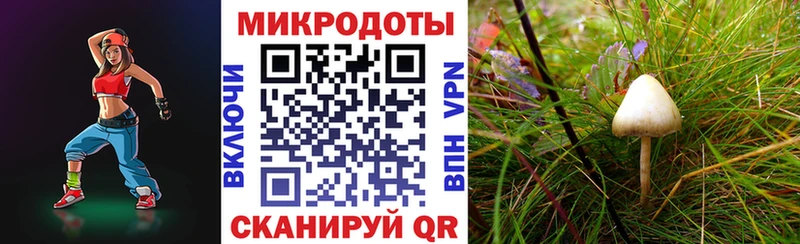 Галлюциногенные грибы мухоморы  как найти закладки  Фокино 