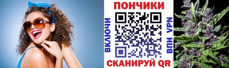 МАРИХУАНА гибрид  где купить наркотик  darknet Telegram  Фокино 